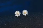 By Queen Ασημένια Σκουλαρίκια Καρφωτά Μαργαρίτα - Image 11
