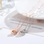 Eternal Circles κολιέ 925 με ζιργκόν σε ασημί και rose gold απόχρωση